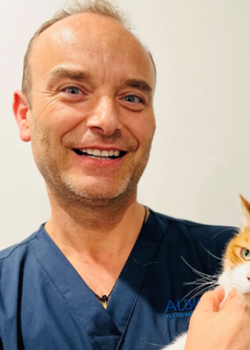 Albion Veterinary Surgery 97 Albion Rd, Albion (07) 3357 7849